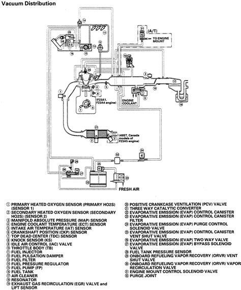 2003 Lexus Es300 Vacuum Diagram Wiring Site Resource