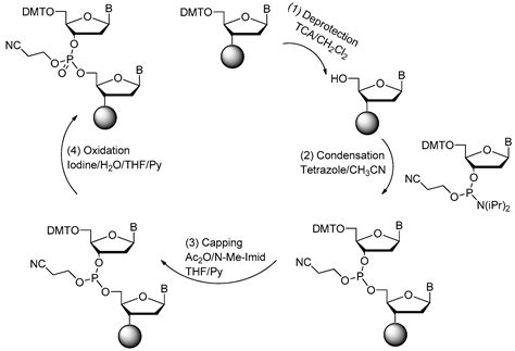 Ijms Free Full Text Chemical Modifications Of Nucleic Acid Aptamers