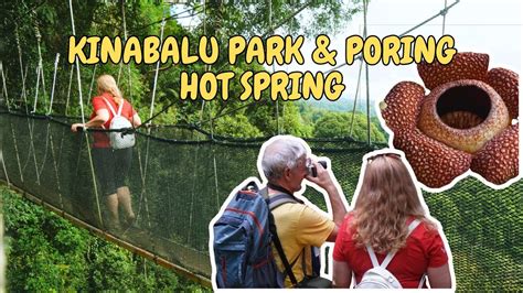 Kinabalu Park And Poring Hot Spring Day Tour Travel With Remarkable