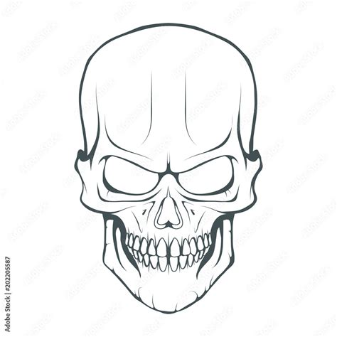 Skull Illustration Evil Skull On White Background Vector Graphics To