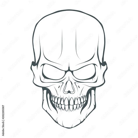 Skull illustration. Evil skull on white background. Vector graphics to ...