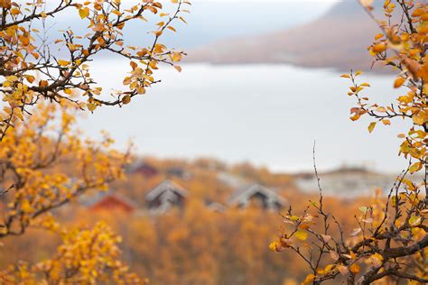 Autumn in Finland | All Secrets of Finnish Autumn Revealed – Gofinland Blog