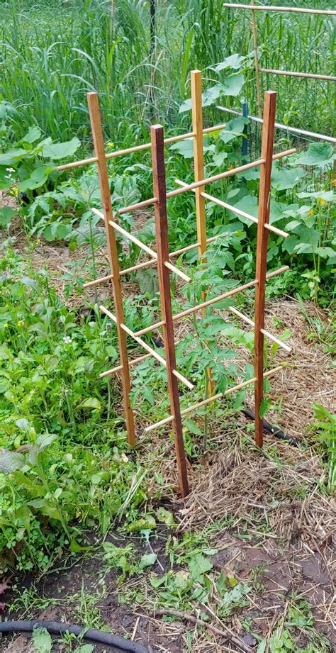 9 Amazing DIY Ideas How To Make Tomato Trellis Tomato Trellis