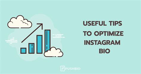 Instagram Bio Optimization 10 Tips To Get It Done Quickly Pushbio