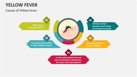 Yellow Fever Prevention Tranetbiologiaufrjbr