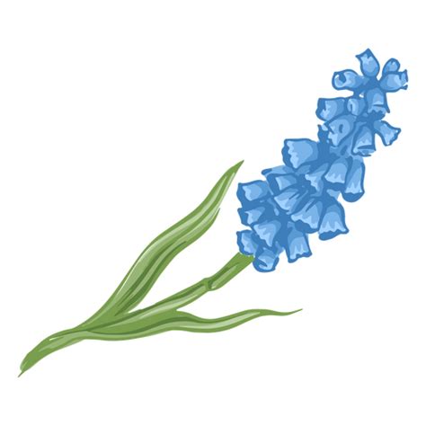 Blaue Realistische Blume Png Und Svg Design F R T Shirts