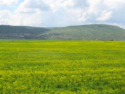 Bulgarian Countryside Like This For More Wonderful Places Flickr