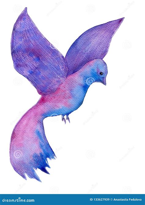 Watercolor Hand Drawn Violet Bird Isolated On The White Background