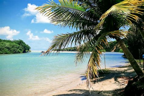 Melhores praias do Brasil 35 lugares incríveis para visitar em 2021