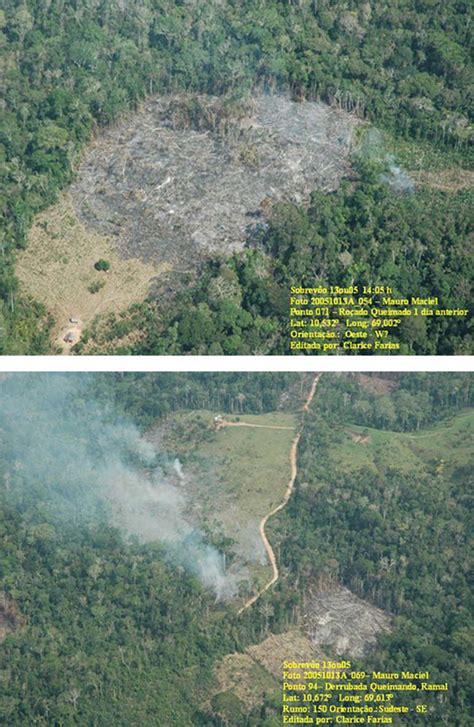 Fotos aéreas de áreas desmatadas e queimadas na região da Amazônia