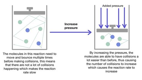 Effect Of Catalyst On Rate Of Reaction Example at Brittany Wagar blog