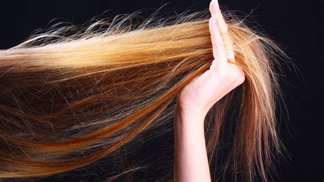 Capelli grassi cosa fare Le cause i rimedi naturali e lo shampoo più