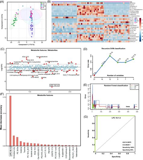 Metabolomic Signatures Associated With Pathological Angiogenesis In