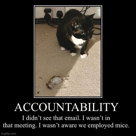 Accountability Imgflip