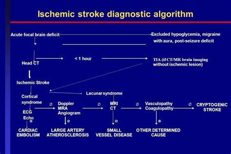 Unveiling the Untrodden Path: A Novel Algorithm for Ischemic Stroke ...