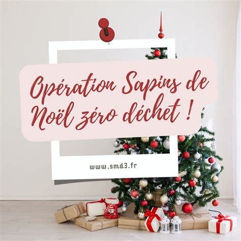 Opération Sapins de Noël zéro déchet SMD3 Collecte transport et