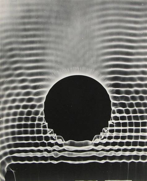 The Art Of Photograms Captivating Camera Less Masterpieces