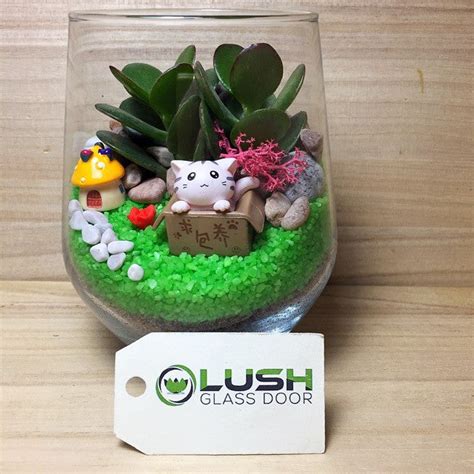 Ready Made Cute Succulent Terrariums Created By Lush Glass Door Singapores Terrarium One Stop