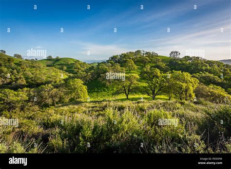 Mount Diablo State Park Stock Photo Alamy