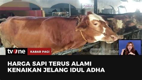 Jelang Idul Adha Permintaan Sapi Untuk Kurban Terus Alami Meningkat