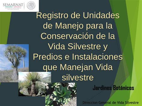 Pdf Registro De Unidades De Manejo Para La Conservaci N De La