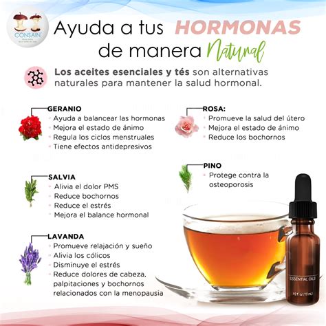 Ayuda A Tus Hormonas De Manera Natural Los Aceites Esenciales Y Tés Son