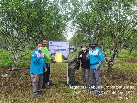 Pemprov Kalteng Kembangkan Budidaya Berbagai Komoditi Buah Di Seluruh