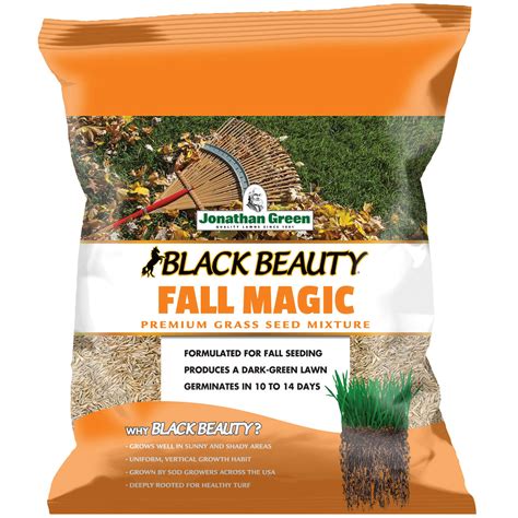 Jonathan Green Black Beauty Fall Magic Mixed Sun Partial Shade Grass Seed 7 Lb Ace Hardware