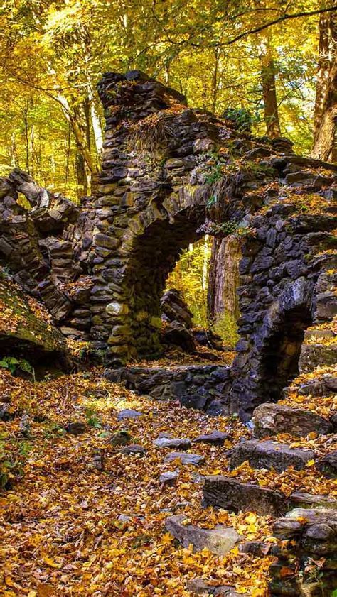 Bing HD Wallpaper 23 Okt 2024 Madame Sherri Forest New Hampshire