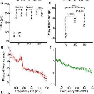 The Third Harmonics In The Reticular Lamina And Basilar Membrane