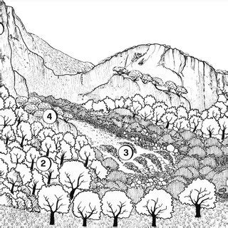 Schematic Transect Of The Plant Landscape Of Pizzo Telegrafo Sicani