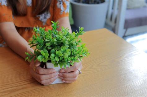 Premium Photo Midsection Of Woman Holding Flower Pot On Table