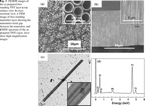 FESEM Images Of The As Prepared Freestanding TNT Layer A Top Surface