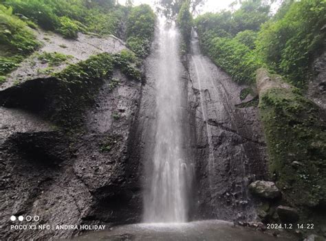 Jakarta Botanical Garden Waterfalls And Rice Fields Tour
