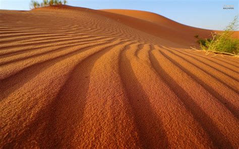 Sand Dunes Wallpapers Wallpaper Cave