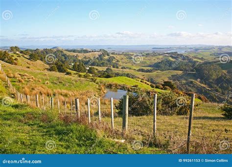 Rolling Hills In New Zealand Near Auckland Stock Image Image Of Scene