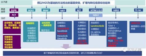 2020年肺癌新药井喷上市 10大黄金肺癌靶点及靶向药解读 最新肺癌靶向治疗进展盘点 全球肿瘤医生网