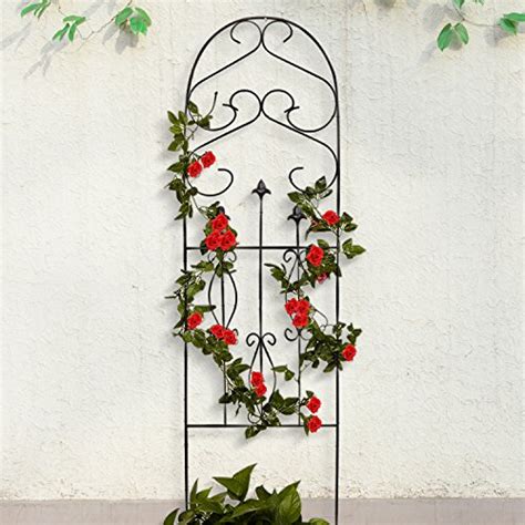 Amagabeli Garden Trellis For Climbing Plants 60″ X 18″ Rustp Growing Tomatoes Guide And Tips