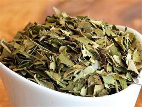 Lemon Myrtle Lake Missoula Tea Company Lemon Myrtle Tea Buy Best