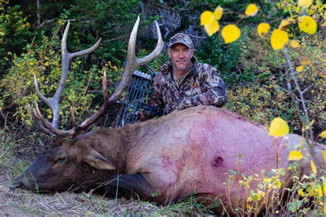 High Fence Elk Hunt Top End Adventures