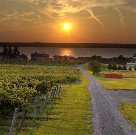 10 Best Wineries On Seneca Lake