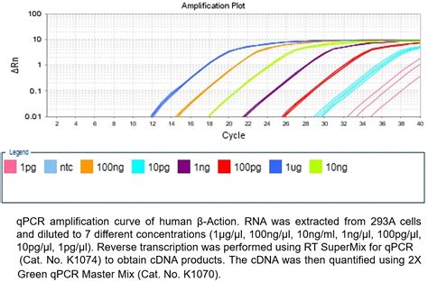 APExBIO HyperScript First Strand CDNA Synthesis SuperMix