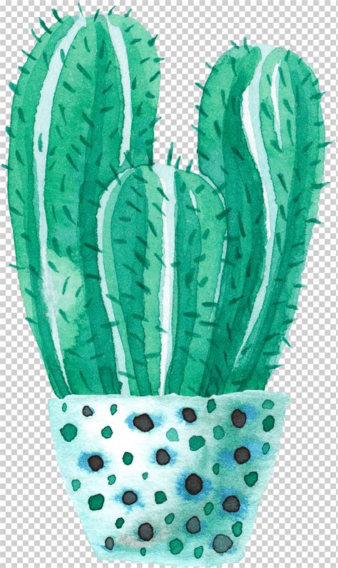 Ilustraci N De Cactus Verde Cactaceae Acuarela Cactus En Maceta