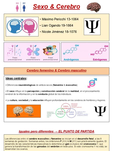 Sexo Y Cerebro Pdf Cerebro Hemisferio Cerebral