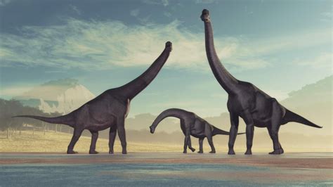 Brachiosaurus Steckbrief 7 Merkmale Des Dinosauriers Schreiben Net