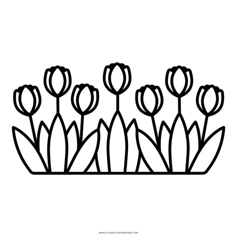 Tulipas Desenho Para Colorir Ultra Coloring Pages