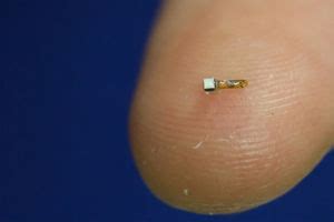 Neural Dust Reiskorn Sensor Steuert Prothesen