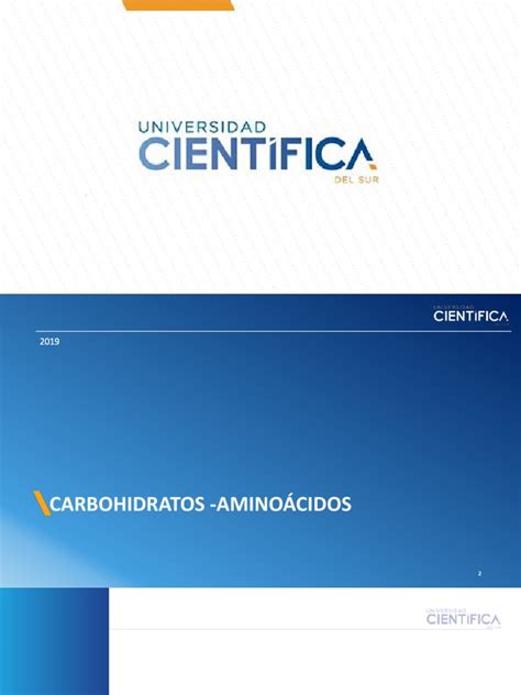 14 Ava Semana Carbohidratos 3 Aminoácidos Y Proteinas 1 Pdf Sacarosa Glucosa