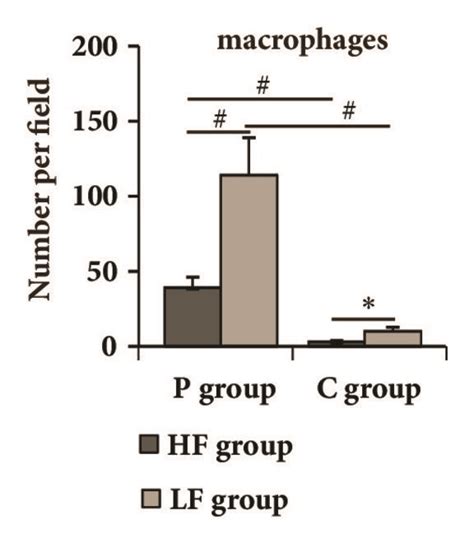 Periodontal Leukocyte And Macrophage Amount And Cytokine Levels In Download Scientific Diagram