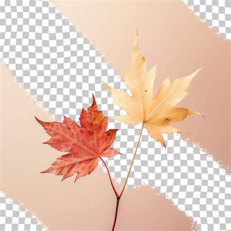 Premium PSD A Maple Leaf With The Word Autumn On It